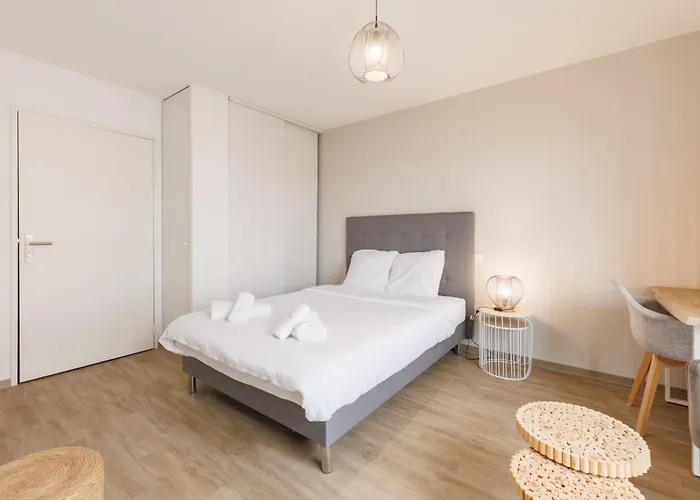 5 Le Loki - Tramway - Wifi Апартаменты Клермон-Ферран